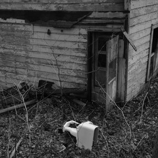 Small derelict house in a wooded area