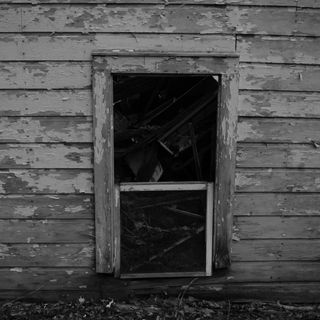 Small derelict house in a wooded area