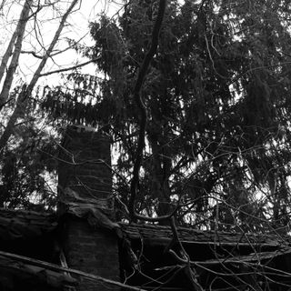 Small derelict house in a wooded area