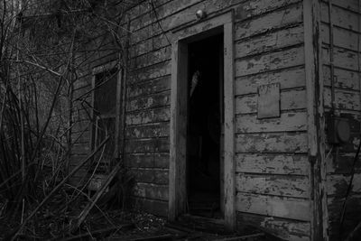 Detail view of small derelict house in a wooded area